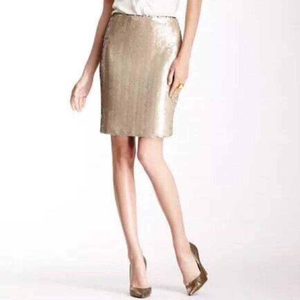 Sequin Skirt